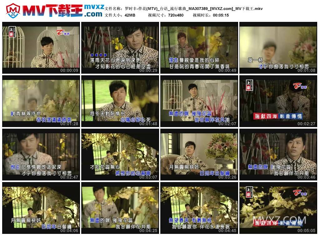 罗时丰-伴花(MTV)_台语_流行歌曲_MA307389